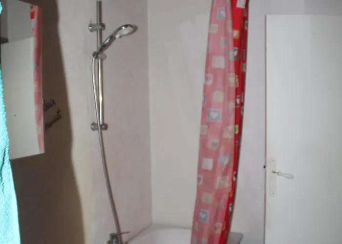 Accommodatie bij particulieren Chez Didier 1 Saint-Michel-de-Lanès